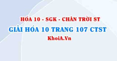 Giải Hóa 10 Chân trời Sáng tạo trang 107